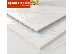 罗马磁砖 大理石瓷砖 800x800客厅墙砖防滑釉面地板砖FX80827C图2