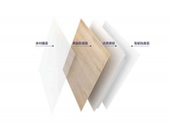 睿系列Ⅲ代图3