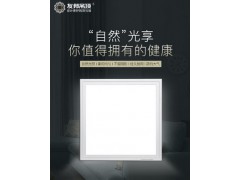 友邦集成吊顶 led面板吸顶灯厨房厨卫卫生间扣板嵌入式灯ZD158图2