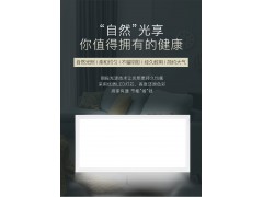 友邦集成吊顶厨房卫浴LED灯铝扣板嵌入式平板灯长灯300*600 ZD159图2