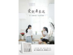 友邦集成吊顶 嵌入式吹风 浴室厨房凉霸风扇垂直风凉霸FS204图3