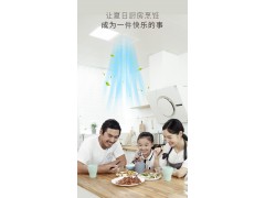 友邦集成吊顶 嵌入式吹风 浴室厨房凉霸风扇垂直风凉霸FS204图4