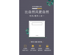 友邦集成吊顶 换气扇 浴室厨房凉霸风扇垂直风凉霸DL001图2
