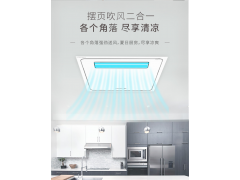 友邦集成吊顶 换气扇 浴室厨房凉霸风扇垂直风凉霸DL001图3