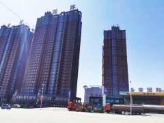唐河金帝国 际