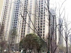 工程案例