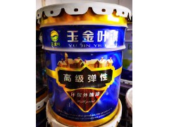 外墙高级弹性乳胶漆YT-7000图1