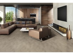 个性时代  PL2138n  PL2138e图2