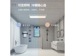 友邦集成吊顶多功能取暖器 DZ008图2