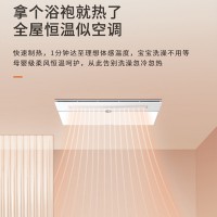 友邦集成吊顶多功能取暖器 DZ010