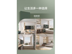 索菲亚衣柜定制 卡乐系列（双饰面平板门/斜切门板）图9