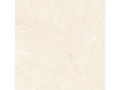 XAY30669P 瓷片图4