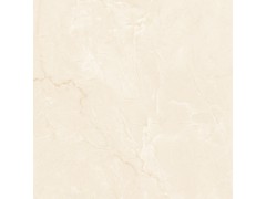 XAY30669P 瓷片图6