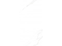 XAL36668P 瓷片图5