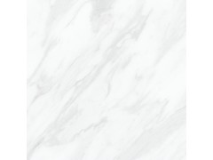 XXAY30611P 瓷片图2