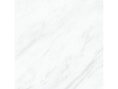 XXAY30611P 瓷片图4
