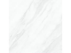XXAY30611P 瓷片图7