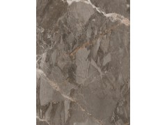X3SD61207R 土耳其棕图2