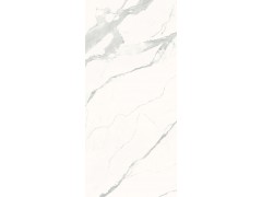 X-LABS-HA122619L/Y 雪花白图2