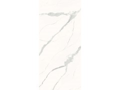 X-LABS-HA122619L/Y 雪花白图4