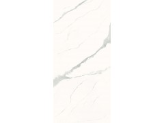X-LABS-HA122619L/Y 雪花白图5