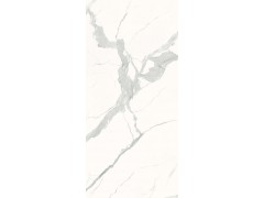 X-LABS-HA122619L/Y 雪花白图6