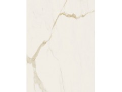 X-LABS-HA122621Y/L 卡拉卡塔金图7
