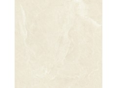 X1CP9022 顶级白玉兰图5