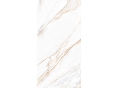 X1AM91812L-6H/X1CM11L91812-6H 鱼肚金图5