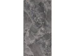 X2AM61207L 嘉斯纳灰图2