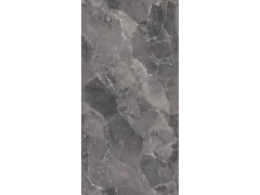 X2AM61207L 嘉斯纳灰图6