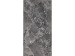 X2AM91807L 嘉斯纳灰图2