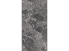 X2AM91807L 嘉斯纳灰图4