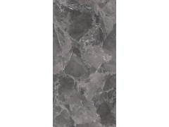 X2AM91807L 嘉斯纳灰图5