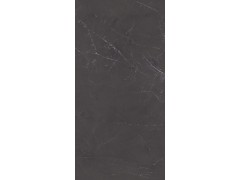 X2AM91809L/X2CM11L91809 比萨深灰图3