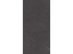 X2AM91809L/X2CM11L91809 比萨深灰图6