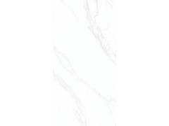 X1TF12629L 伊维萨白图3