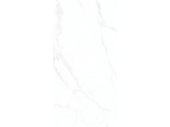 X1TF12629L 伊维萨白图4