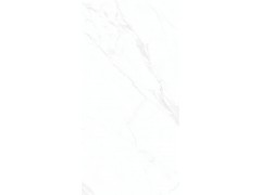 X1TF12629L 伊维萨白图5