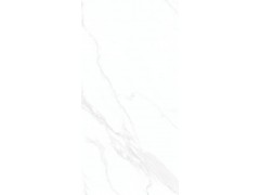 X1TF12629L 伊维萨白图7