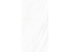 X1TF12602R 圣安娜白图6