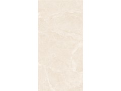 X1TP71522/X1TF15722L/X1PA71522 顶级白玉兰图2