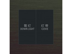 GENGET尊爵  G2A智能开关面板图3