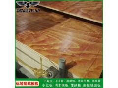 高档建筑模板图2