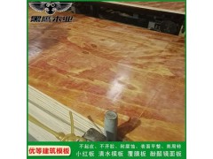 广西木胶板厂家图2