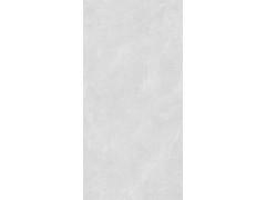 TDPF112 圣莫里茨灰图7