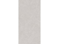 TFPF150 莱茵灰图4