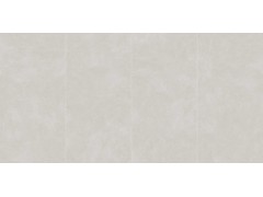 TDMF290 玄月黄图7