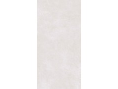 TDPF233 萤火黄图4