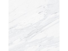 布达拉白 8R219PF图1